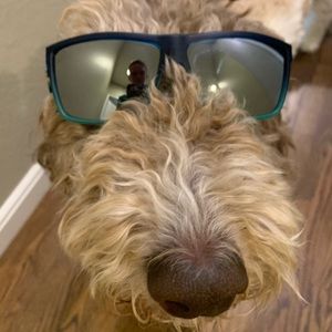 Meet your Posher, Chase